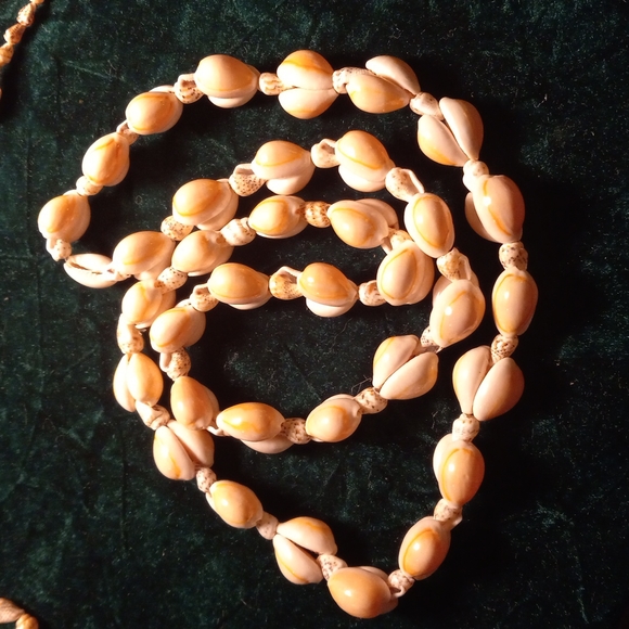 F-22 Sea Shell necklace lot - Picture 2 of 6